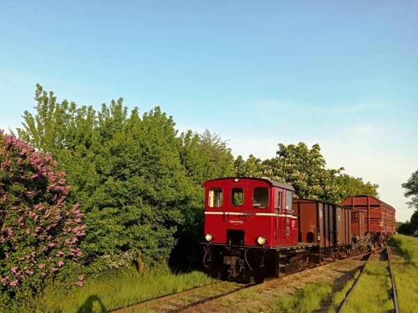 014 Rangieren im Bf Heiligenberg in der Abendsonne. Wg 130 kommt mit nach Vilsen.